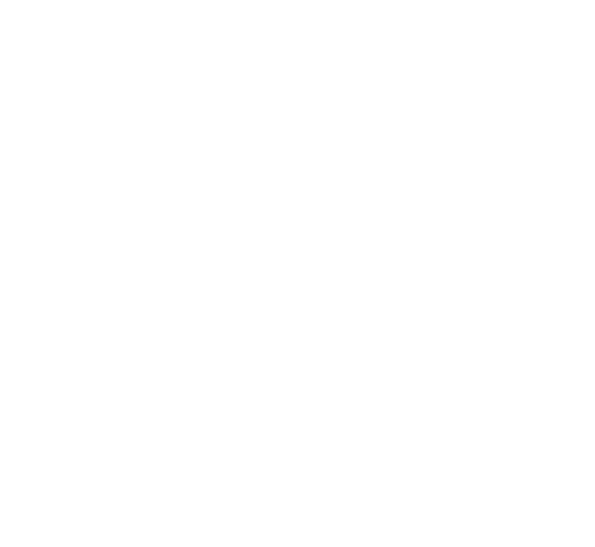 Optic Capital